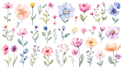 Set watrecolor floral background with flowers
