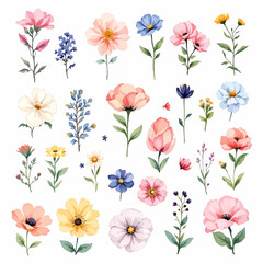 Set of spring flowers, collage of tulips, Set watercolor flowers