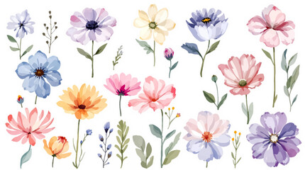 Set of watercolor wild flowers, set of flowers clipart