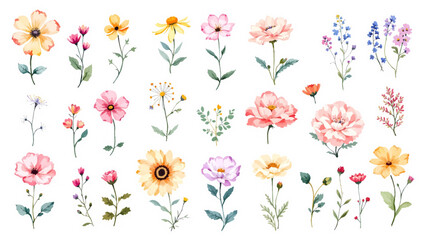 Fototapeta premium Set of watercolor flowers, set of flowers clipart