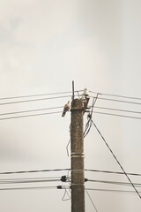 high voltage electric pole