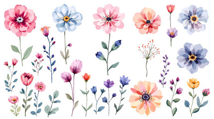 Spring  Set flowers watrecolor clipart on withe background