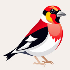 Obraz premium British Goldfinch Vector Illustration – Colorful Finch with Striking Plumage Design