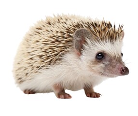  is too ambiguous to create a meaningful sentence Please provide the image or some description for it I need more information to fulfill your request