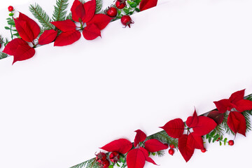 Christmas decoration. Flowers of red poinsettia, branch Christmas tree, red berries with space for text on a white background. Top view, flat lay