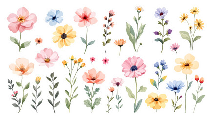 Colorful spring flowers, Set of watercolor flowers, Clipart watercolor flowers	