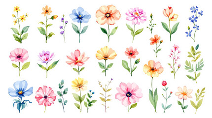 Colorful spring flowers, Set of watercolor flowers, Clipart watercolor flowers	