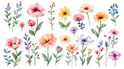 Colorful spring flowers, Set of watercolor flowers, Clipart watercolor flowers	