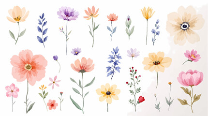 Colorful spring flowers, Set of watercolor flowers, Clipart watercolor flowers	