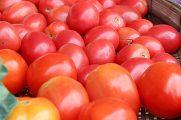 Ripe tomatoes in a fresh vegetable shop