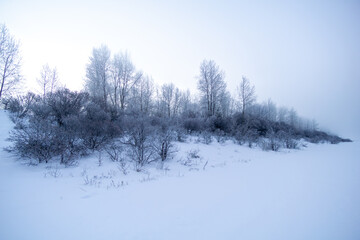 Fototapeta premium Snow-covered landscape featuring frosted trees and shrubs under a misty sky, creating a serene winter atmosphere with a tranquil ambiance for nature lovers and photographers