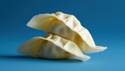 International food dish isometric gyoza dumpling icon premium quality culinary art minimalist style