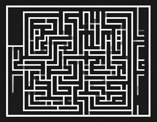 Complex Black And White Maze Design