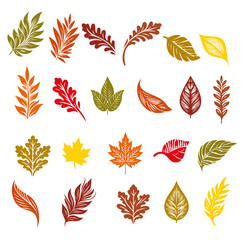 Autumn Fall Vector Leaf Designs, Minimalist  Stylized Botanical Illustrations