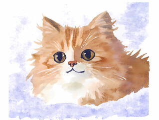 Fluffy Watercolor Cat Portrait with Big Eyes