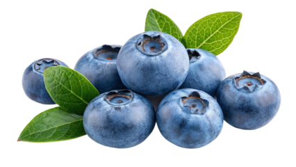 Garden fresh fruit blueberry isolated on white or transparent background