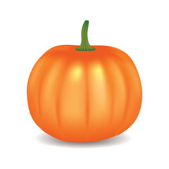 Pumpkin. Vector image of 3D pumpkin. Autumn vegetable