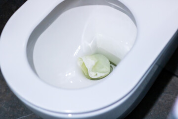 A white toilet featuring a green object resting inside it