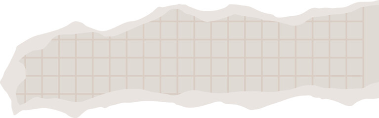 Fragment of graph paper with a torn edge