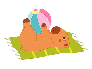 A cute capybara lies on a towel and plays with a beach ball. Color clip art for your projects.