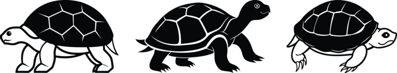 turtle vector silhouette and black and white color art and illustration