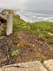 A guardrail and sea bluffs in Carlsbad, California, blanketed in lush ice plant, captured on a misty, foggy morning, highlighting coastal elements.