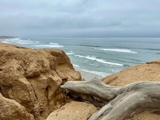 A weathered tree on the bluffs in Carlsbad, California, framing a view out towards the expansive...