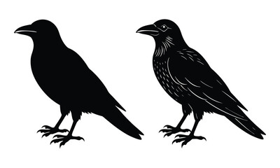 Black Crow Vector Silhouette on White Background, ai generated