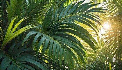 Sunlight streams through lush green tropical palm leaves, creating a vibrant scene.
