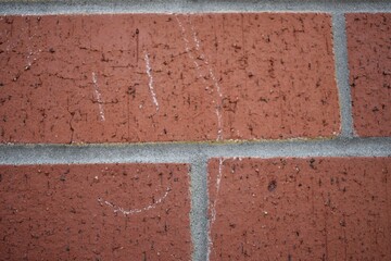 the brick wall's friendly smile
