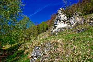 a beautiful day in the ancient town of Dollnstein