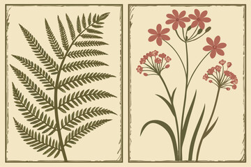 Vintage botanical prints ferns and floral illustrations