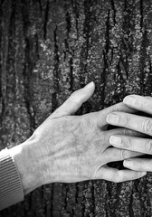 Close-up of the hands of an elderly couple in love, black and white shot.