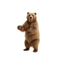 Majestic Grizzly Bear Standing on Hind Legs, Isolated on Transparent Background