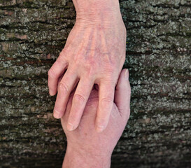 Close-up of the hands of an elderly couple in love.