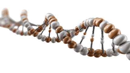 DNA Strand Close-up: a striking depiction of the double helix, rendered with intricate detail, offering an abstract yet instantly recognizable symbol of genetic information and the essence of life.
