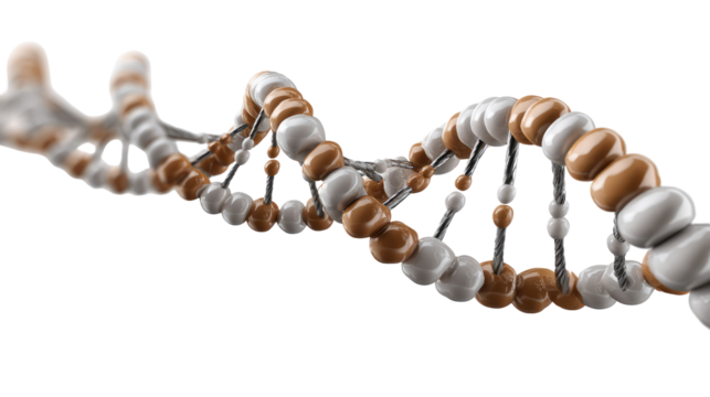 DNA Strand Close-up: a striking depiction of the double helix, rendered with intricate detail, offering an abstract yet instantly recognizable symbol of genetic information and the essence of life.
