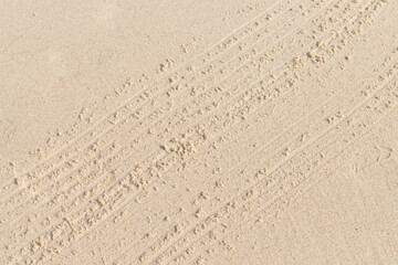 Top view of a sandy beach texture and background.