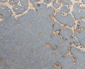 Texture of grey concrete wall for background	