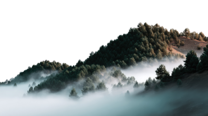 Misty Mountain Majesty: A breathtaking vista unveils towering mountains embraced by a blanket of ethereal mist, the sun's gentle glow illuminating the peaks.