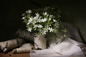 Flower still life with white stars.