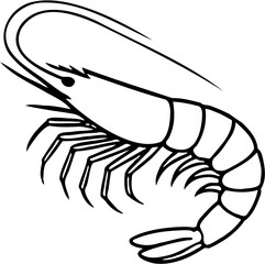 shrimp vector line art illustration, isolated on white