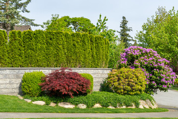 Stone fence in Vancouver, Canada, North America. Outdoor landscape in Spring. Security and privacy...
