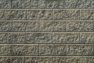 Stone fence in Vancouver, Canada, North America. Outdoor landscape in Spring. Security and privacy...