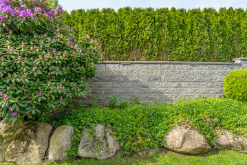 Stone fence in Vancouver, Canada, North America. Outdoor landscape in Spring. Security and privacy...