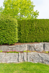 Stone fence in Vancouver, Canada, North America. Outdoor landscape in Spring. Security and privacy...