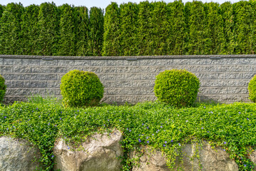 Stone fence in Vancouver, Canada, North America. Outdoor landscape in Spring. Security and privacy...