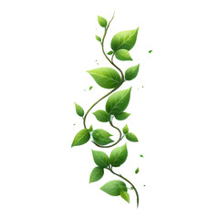 A vertical vine with bright green leaves spirals upward, showcasing fresh foliage and natural growth.