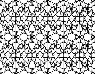 Fototapeta premium Intricate Geometric Black And White Pattern Design