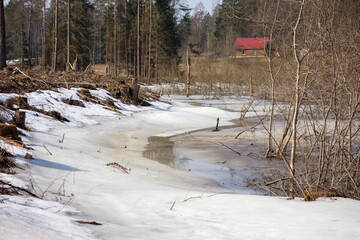 
a partially frozen body of water with patches of snow and ice on its banks, set in a forested...